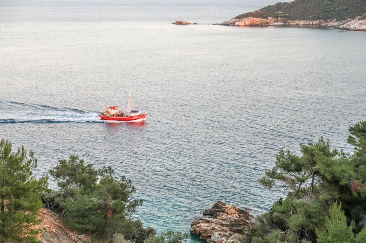 Thalasses Villas Skiathos Punta Bagian luar foto